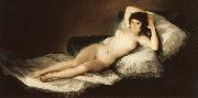 Francisco Goya The Naked Maja oil painting artist